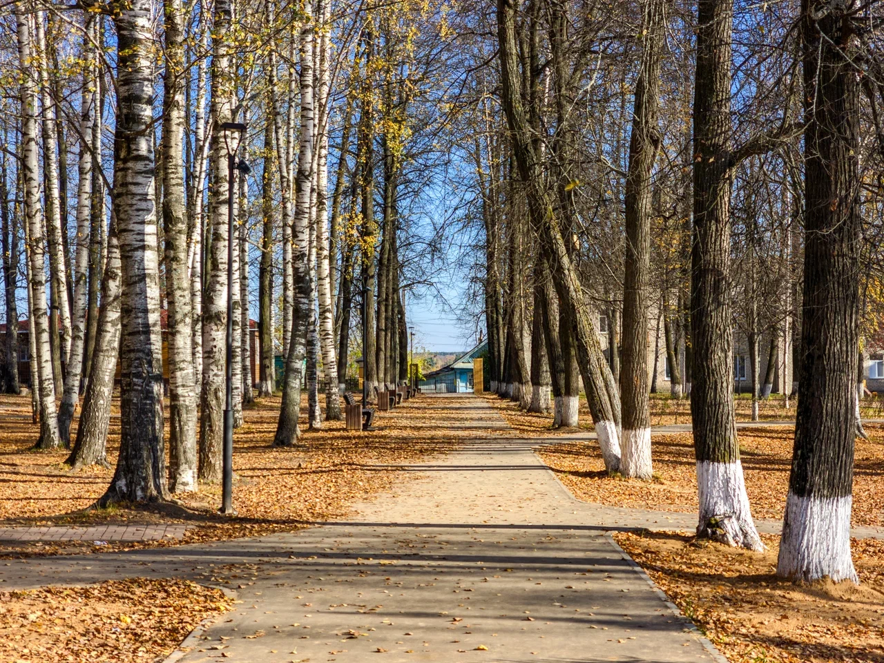 Парк Виноградова