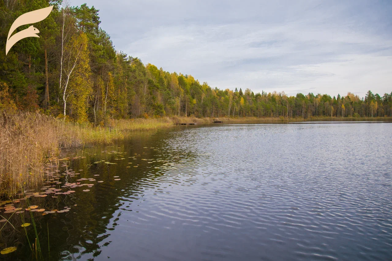 Озеро Кочешковское