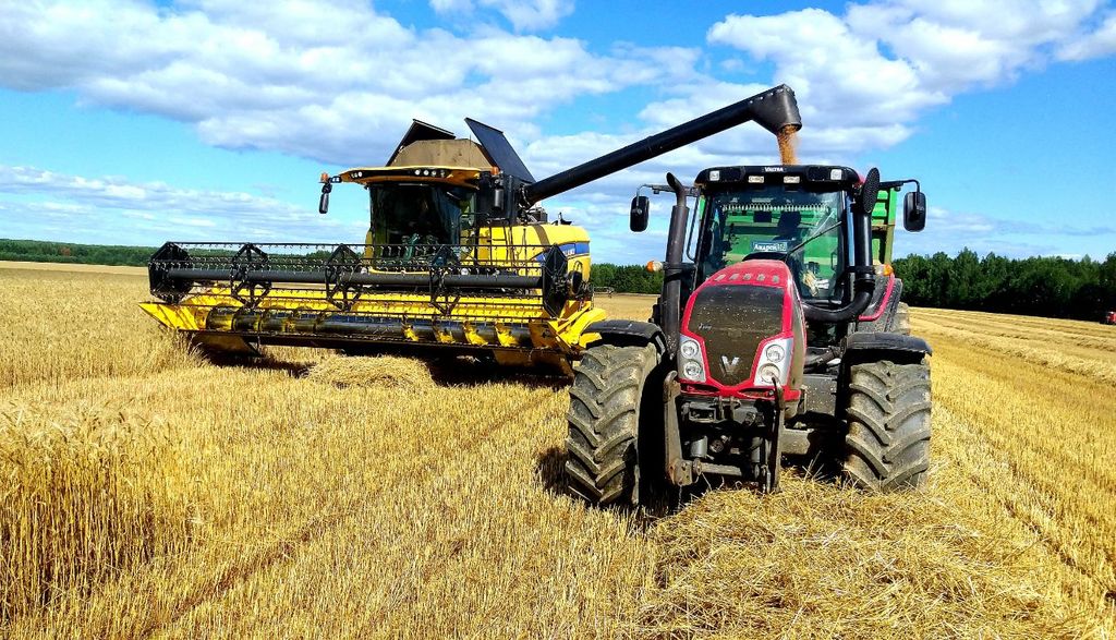 ООО «Им. Горького»