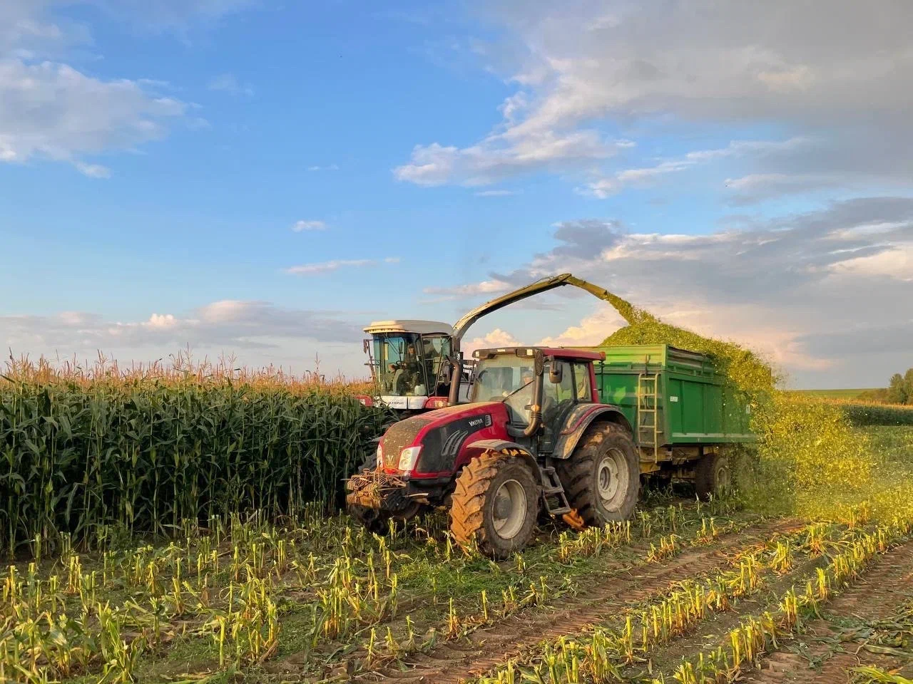 Сельскохозяйственное предприятие «Песочное