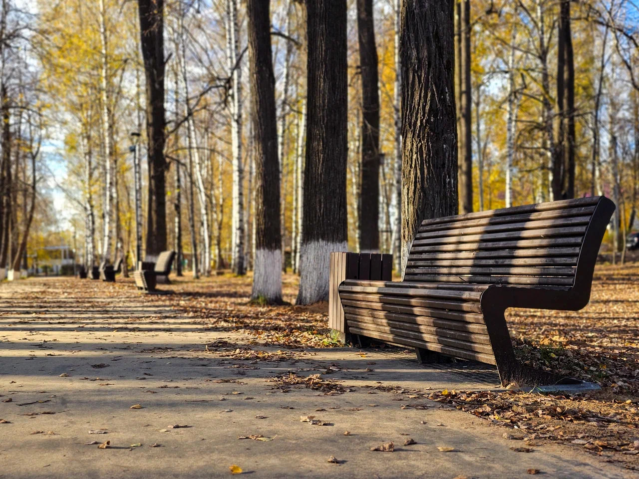 Парковая аллея