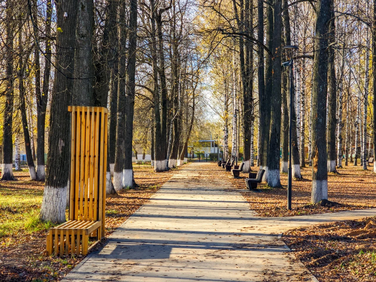 Зелень парка